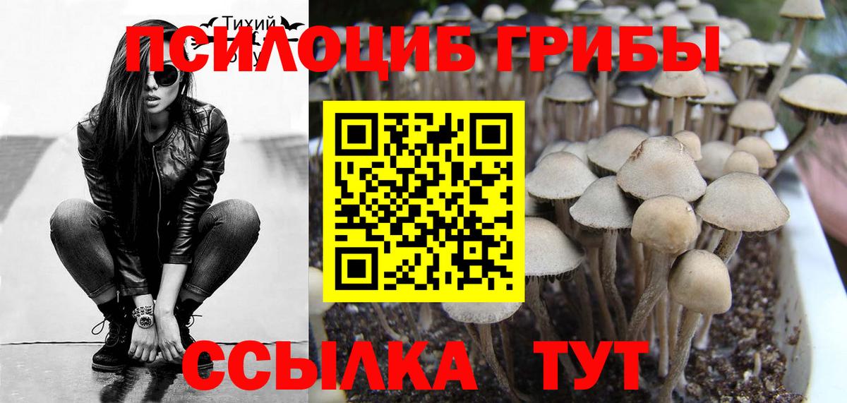 Королёв  Галлюциногенные грибы GOLDEN TEACHER  Вход с VPN 