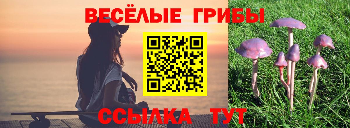 Галлюциногенные грибы ЛСД Королёв